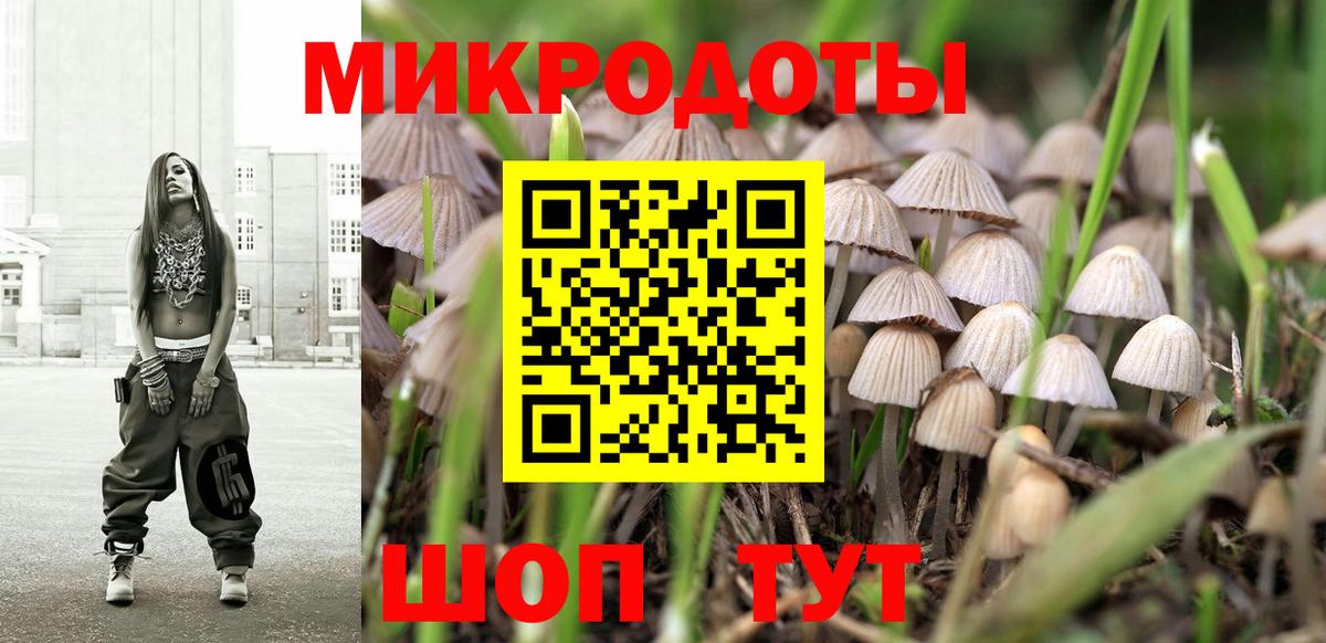 Псилоцибиновые грибы MAGIC MUSHROOMS  Вход с VPN  Соль-Илецк  Галлюциногенные грибы Magic Shrooms 