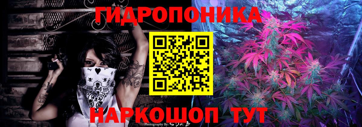 Конопля сатива  Шишки марихуана конопля  Соль-Илецк  Конопля ГИДРОПОН  Вход с VPN 